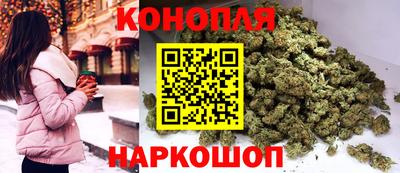 бошки Гагарин