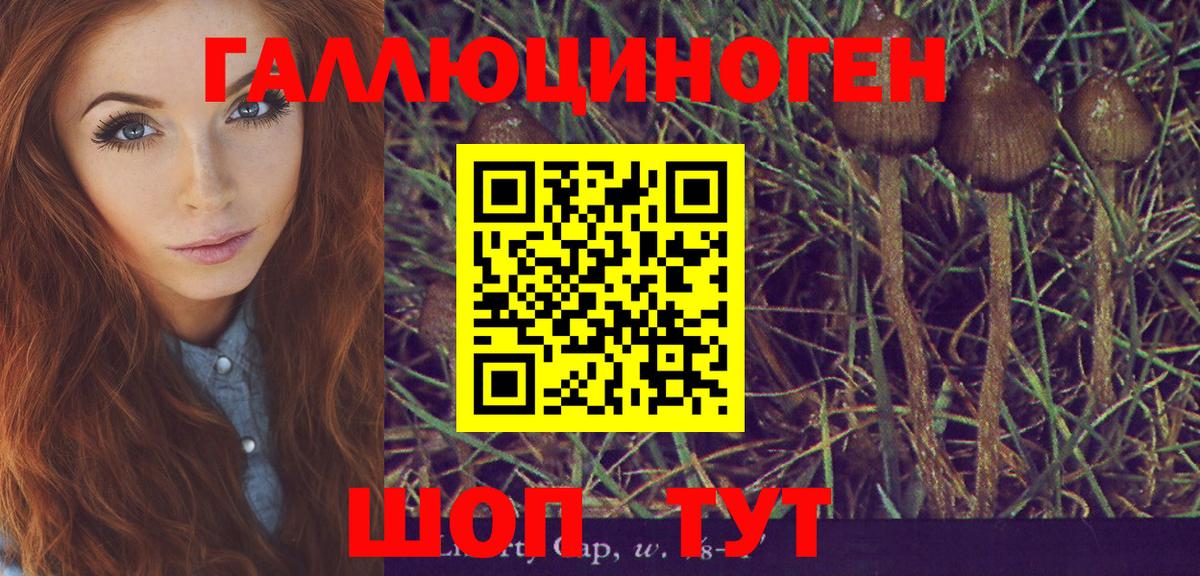 Галлюциногенные грибы GOLDEN TEACHER Нерюнгри