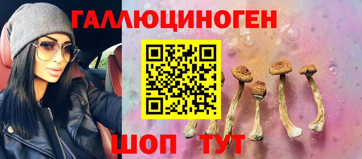 Псилоцибиновые грибы прущие грибы  Вход с VPN  Галлюциногенные грибы мухоморы  Нерюнгри 